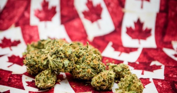 Canadian Cannabis Companies Need Chefs, Brewers, and More