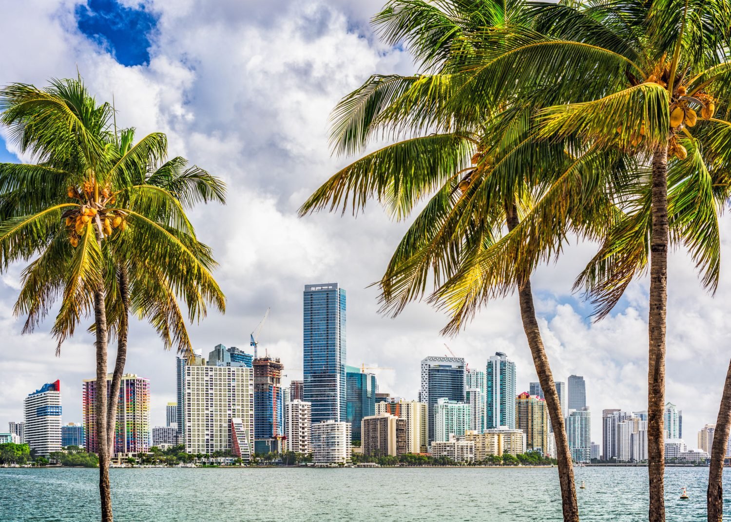 Florida to expand sizzling medical marijuana market with four new licenses | Cannabis Insight