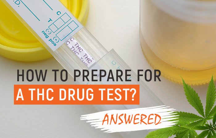 How to Prepare for a THC Drug Test [Answered]