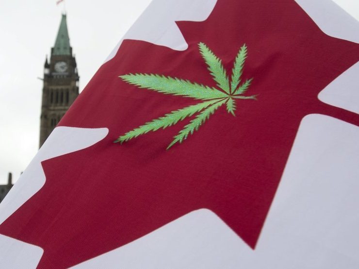 Legal pot will roll out differently in Canada than in US - Prices/ Taxing / Banking / Mail order