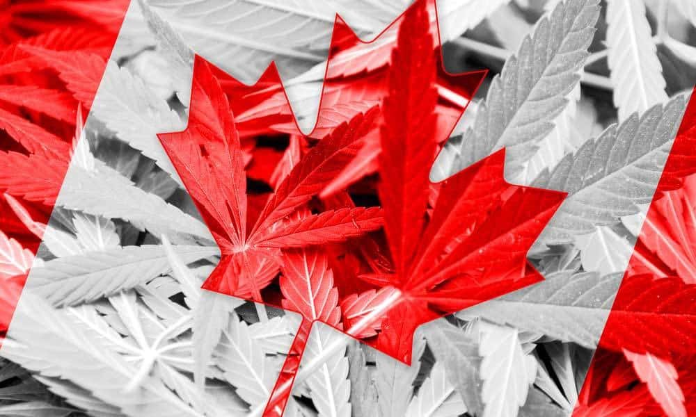 New Regulations May Spark Canada’s Craft Cannabis Revolution