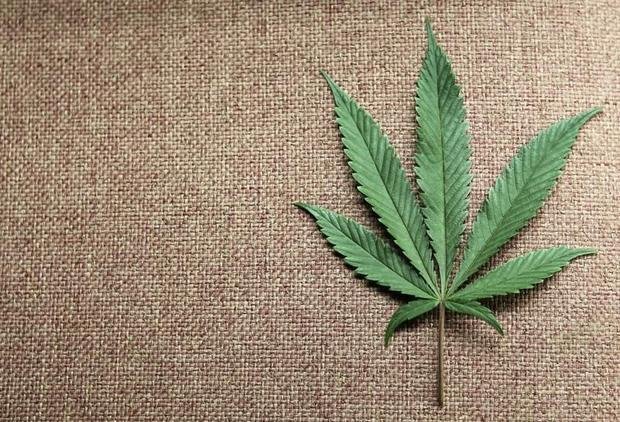 New York State considering legalizing recreational marijuana