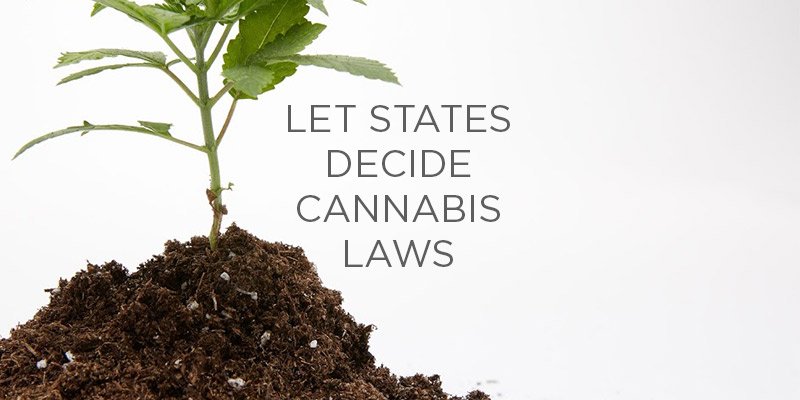 Poll Finds Something A Divided America Can Agree Upon: States Should Set Marijuana Policy