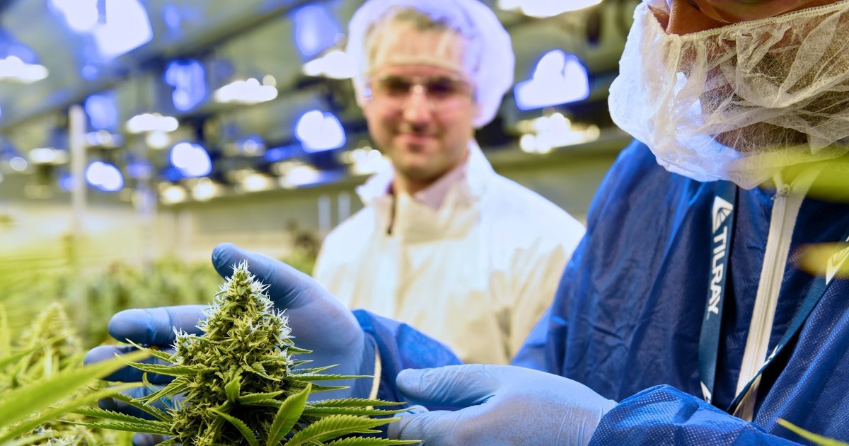 Seattle’s Privateer launches $100M IPO for its Canadian marijuana company