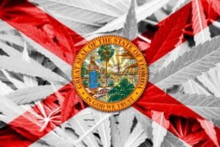 Second Florida business suspended from processing medical marijuana