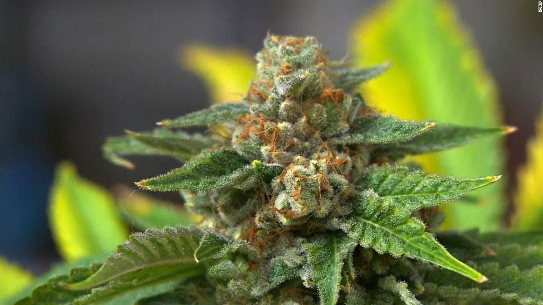 U.S. Rep Tim Ryan(D-OH): Marijuana should be legal in all 50 states