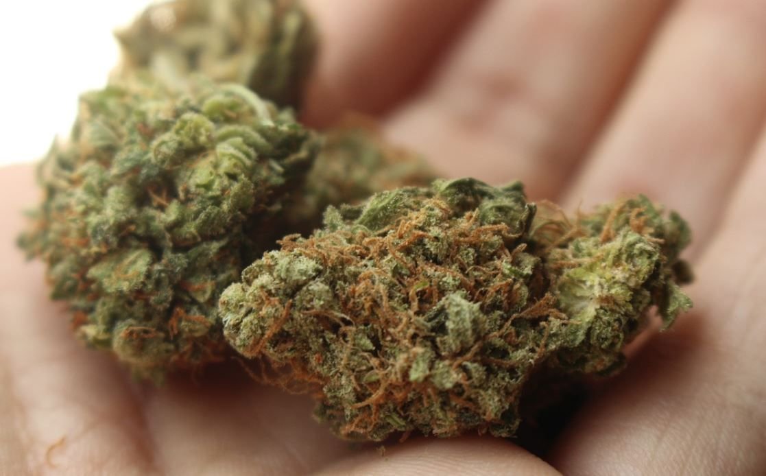 Will Michigan legalize recreational marijuana?
