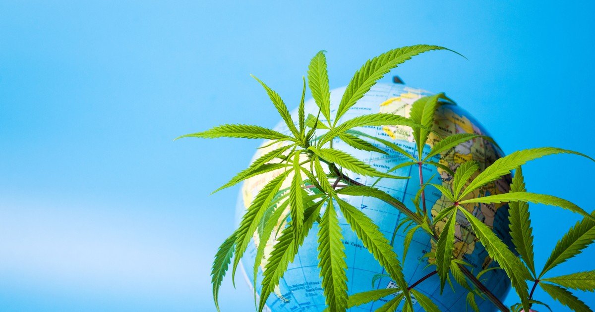 5 Biggest International Marijuana Markets -- and the Stocks Best Positioned to Profit in Them
