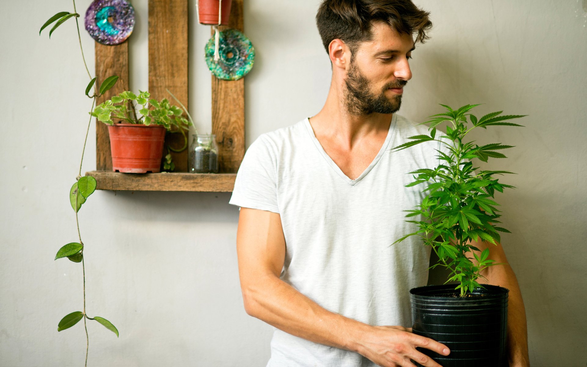5 Reasons Why You Should Consider Growing Your Own Cannabis | Leafly