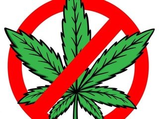 Facebook Blocks Searches for Pages that Reference Marijuana—Even Those of Government Agencies • r/CBD