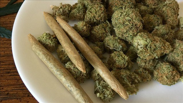 Marijuana Industry in Oregon 'Out of Control' Says US Attorney