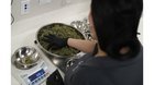 Nevada collects $69.8M in marijuana tax, exceeding expectations.