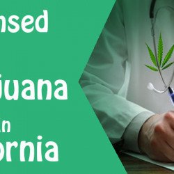 Online Medical Card Find the Licensed Medical Marijuana Doctors in California