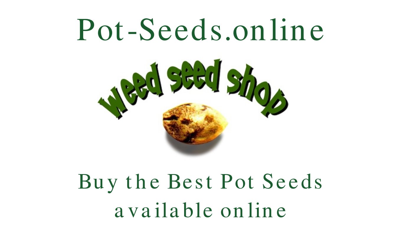 Pot Seeds Online