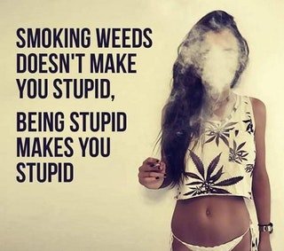 "Smoking Weeds doesn't make you stupid,Being stupid makes you stupid"