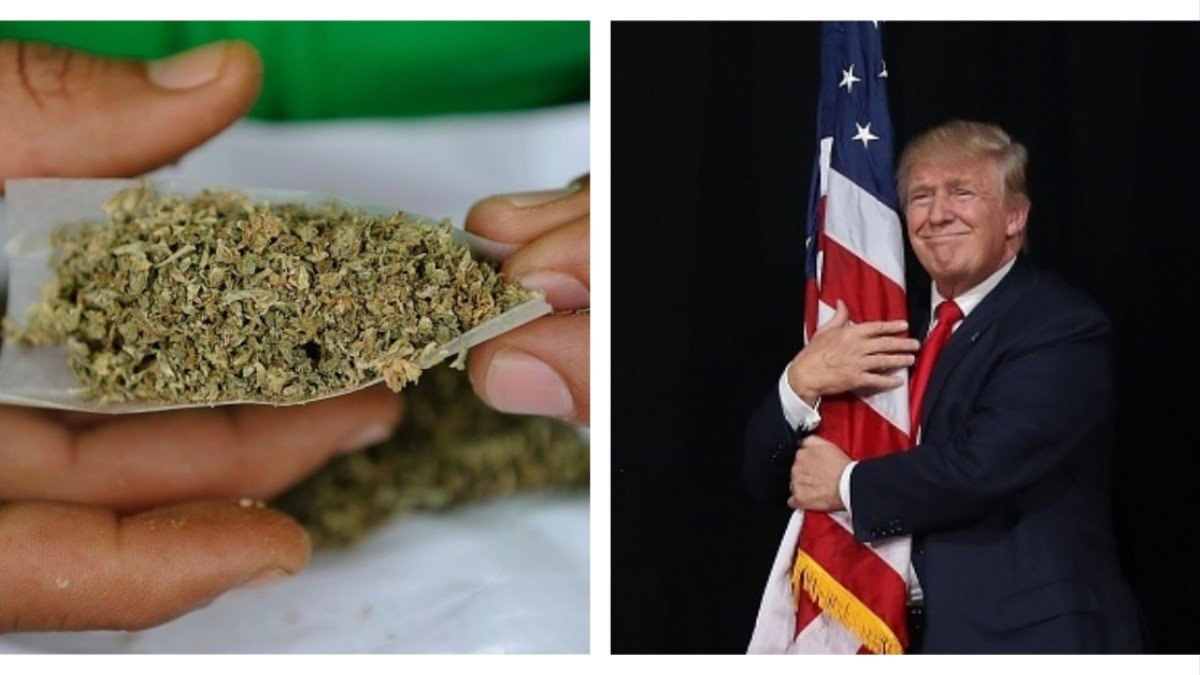 Trump's Secret Anti-Weed Committee