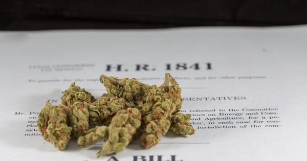 Vermont Governor Signs Marijuana Legalization Into Law?