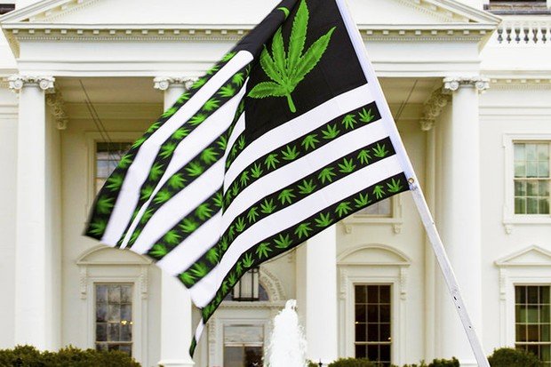 Want proof the fight for legal weed is really heating up in Washington? Check this out.