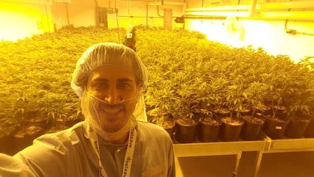 'We need you.' Local cannabis suppliers look for help before market explodes (Canadian)