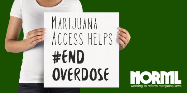 Access to Marijuana Shows Promise in Combating America’s Opioid Crisis