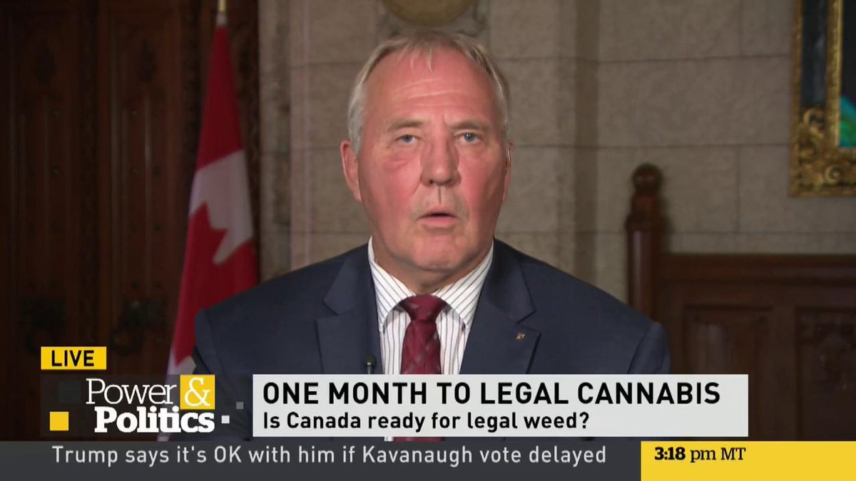 Canadian government's main marijuana point person: "Frankly, if you show up at the border looking like Cheech and Chong, you're going into secondary [inspection]."