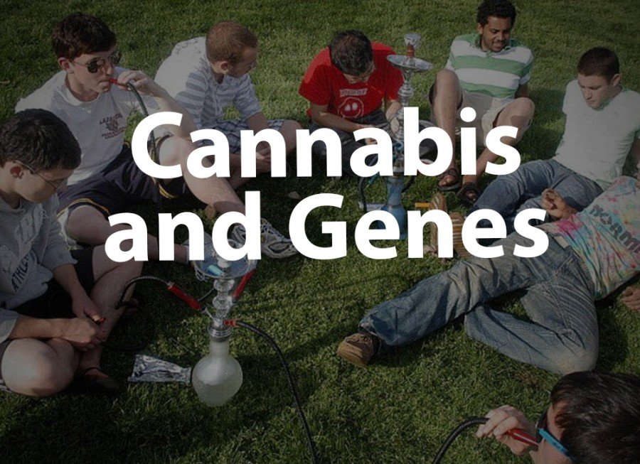 Cannabis and Genes (CSMD1 Gene) - Videos - Puff Puff Post