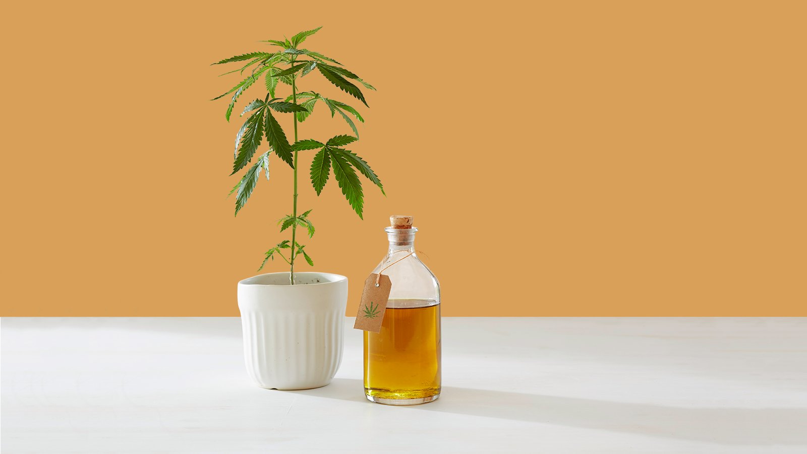 Does CBD Really Do Anything?