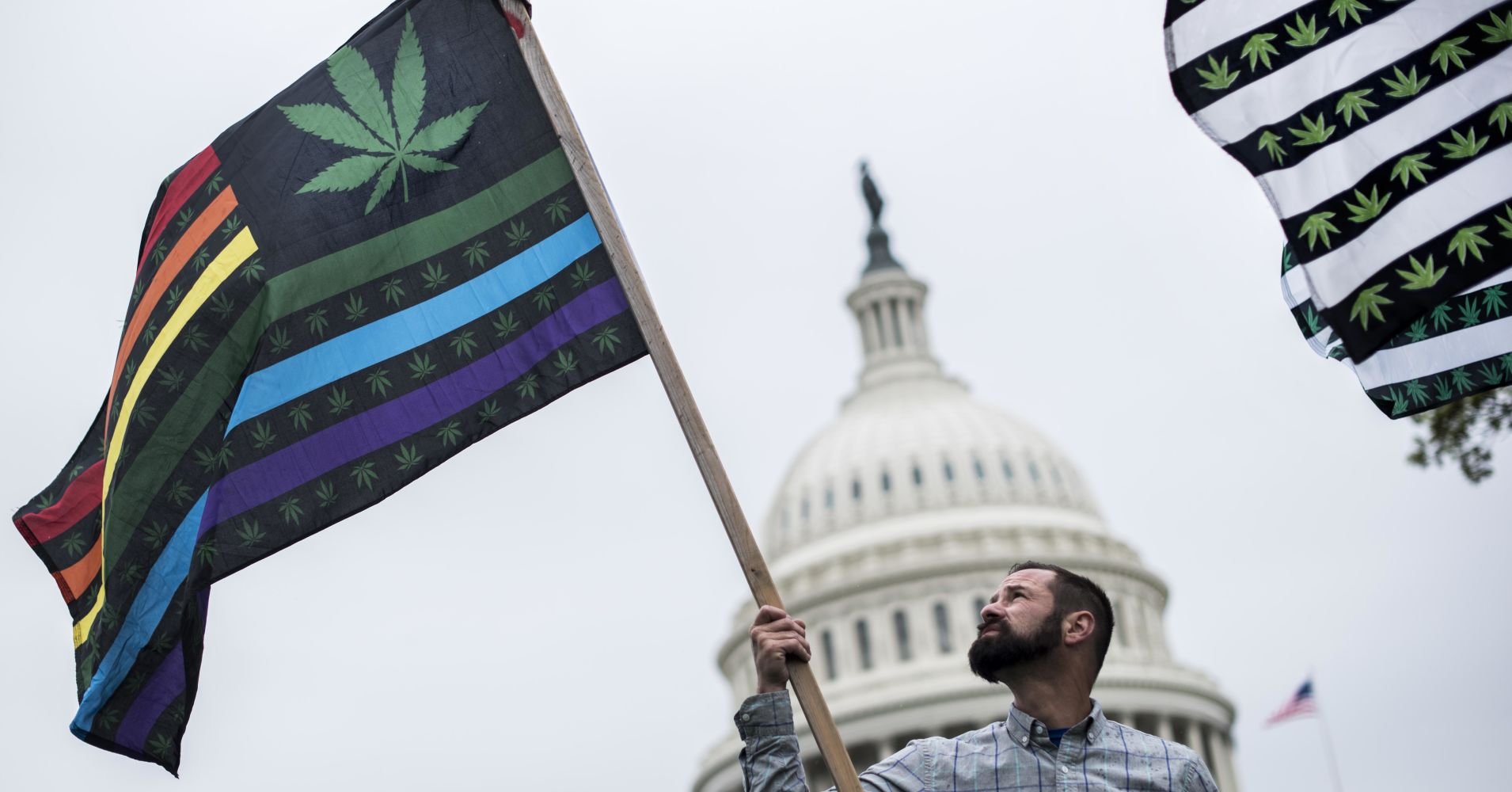 Here are 6 things you need to know about Washington DC's fuzzy market for legal pot