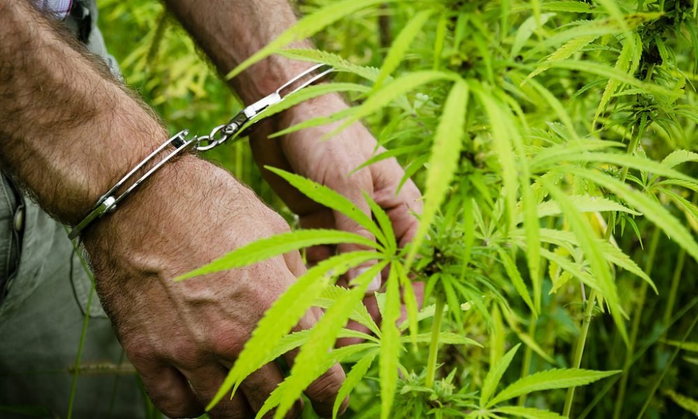 How Many Americans Can Hold A Joint Of Marijuana Without Fear Of Going To Jail?