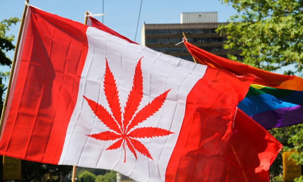 Lawmaker Presses Trump Official On Banning Canadians From US For Marijuana