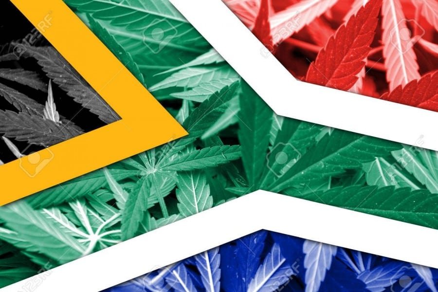 Legalization of Marijuana in South Africa: a Tale of South Africa Marijuana