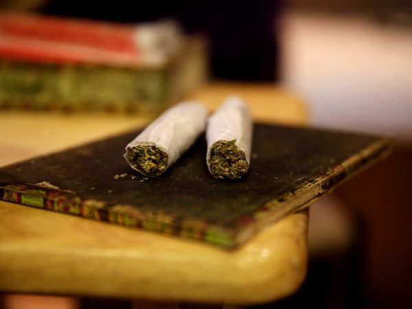 Marijuana use in college remains at highest level in 3 decades, University of Michigan study says