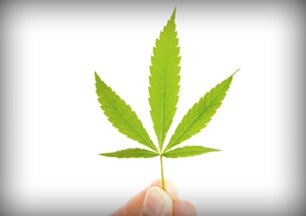 Medical Marijuana | NCCIH - Good Read