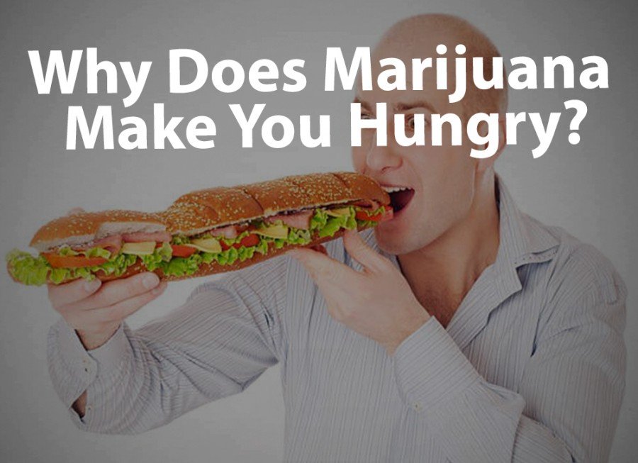 Munchies: Why Does Marijuana Make You Hungry? - Puff Puff Post