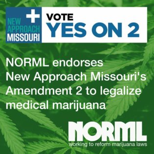 Register to Vote to Support Marijuana Law Reforms this November