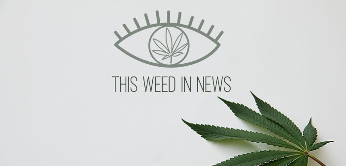 This Week In Weed: Michigan Poll Shows They Want Weed Legal, New York DA Expunges 3,042 Past Marijuana Cases, And Congress Wants Veterans to Go Without Medical Marijuana