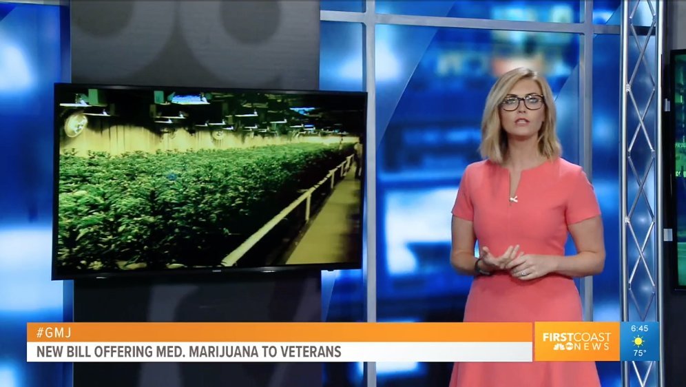 U.S. Sen. Bill Nelson: "Our veterans have put everything on the line for our country and should have access to all available medical treatments—including medical marijuana. "