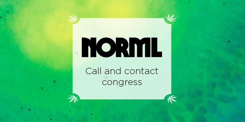 Want to Make Marijuana Access Legal and Safe? Heed NORML’s Call and Contact Congress. | Marijuana