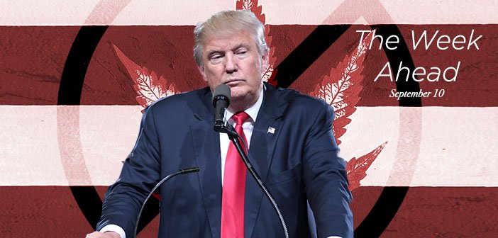 Will Trump Flip Flop on Marijuana & State's Rights? The ‘Resistance’ to Cannabis Legalization In Trump’s White House