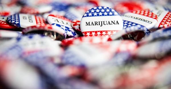 Another Big Election Year For Marijuana As Candidates Recognize Voters Want Legal Weed