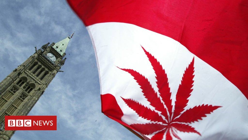 Canada becomes second country to legalise recreational marijuana
