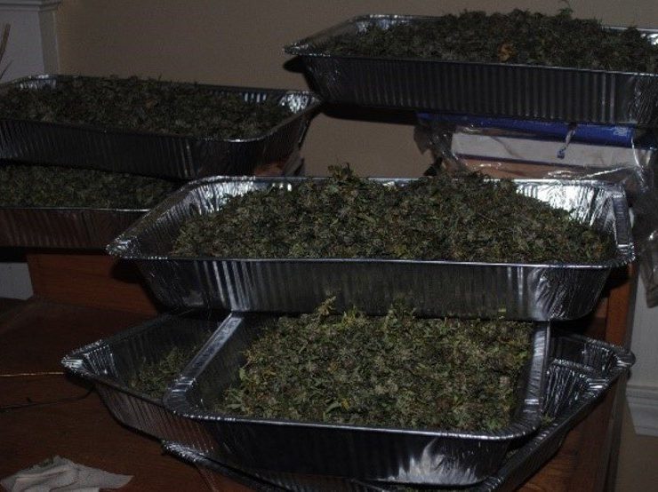 Compassion Party candidates for governor, AG arrested with 48 pounds of pot