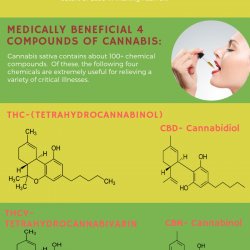 Get access to amazing cannabinoids with a medical cannabis card in Orange County