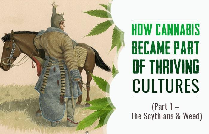 How Cannabis Became Part of Thriving Cultures - The Scythians and Weed