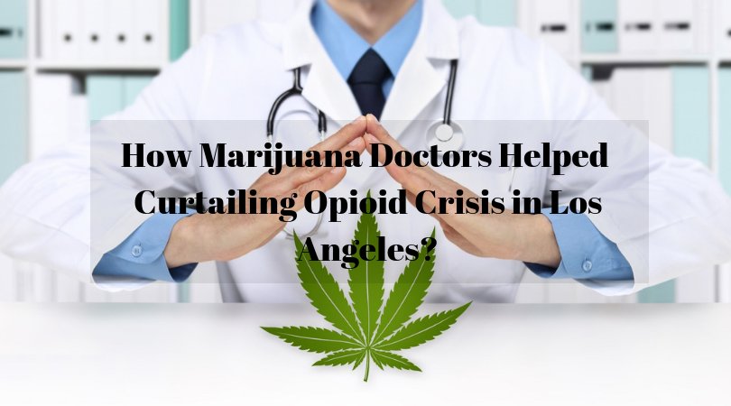 How Marijuana Doctors Helped Curtailing Opioid Crisis Los Angeles?