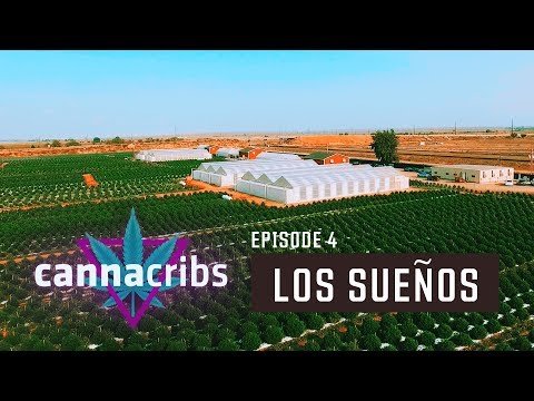 How do you guys feel about Commercial Grow ops like this ? Largest Outdoor Cannabis Farm in World