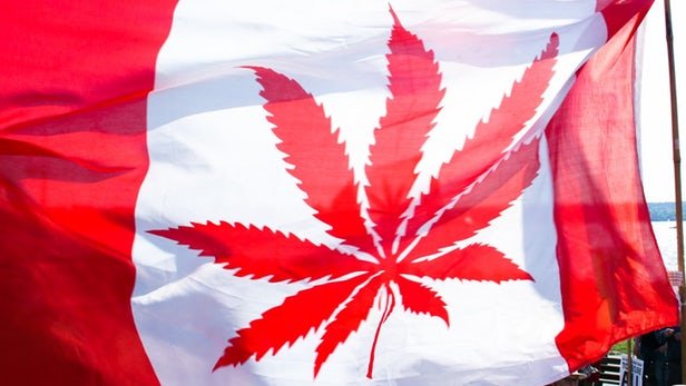 Legal marijuana: The world watches as Canada's massive social experiment begins