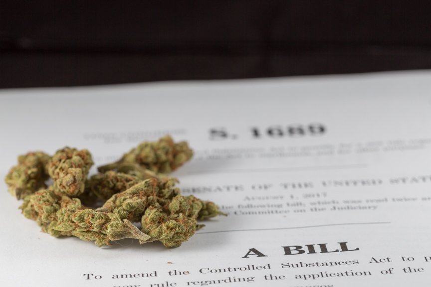 Marijuana Licensing Bill Has ‘Negligible’ Fiscal Impacts, Congressional Budget Office Says