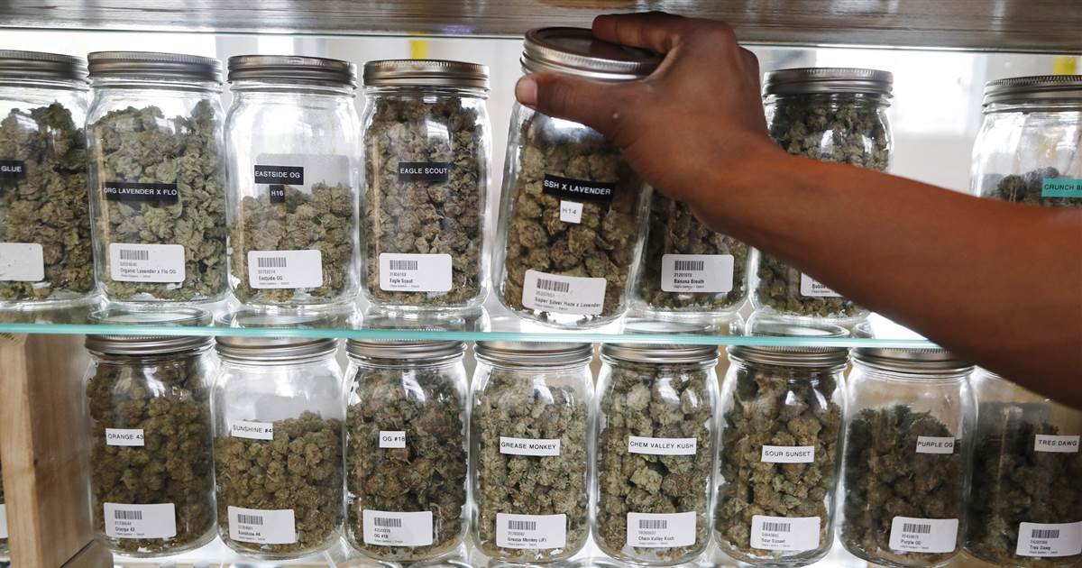 Marijuana midterms: Why legal weed advocates think 'all the pieces are coming together' this year