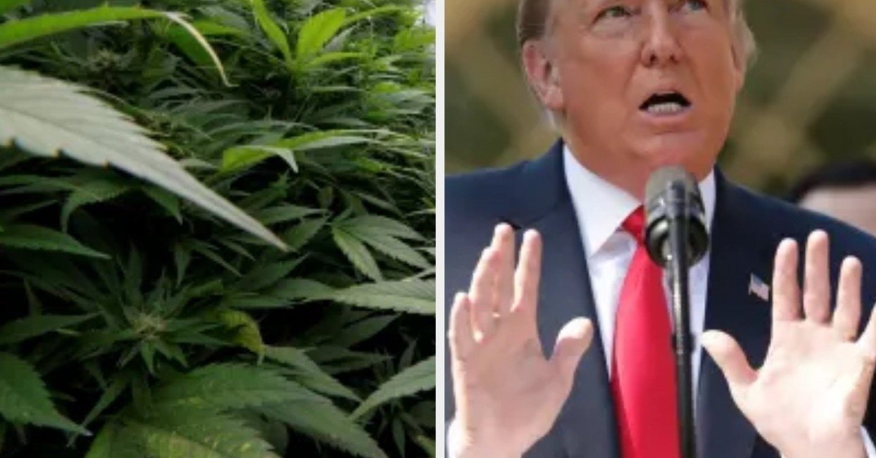 The White House Confirms, Yup, It’s Been Running A Marijuana Committee